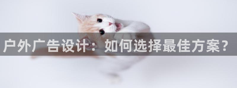 杏宇官方平台官网：户外广告设计：如何选择最佳方案？