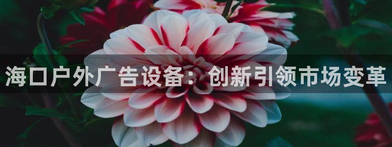 杏宇平台登录步骤图：海口户外广告设备：创新引领市场变革