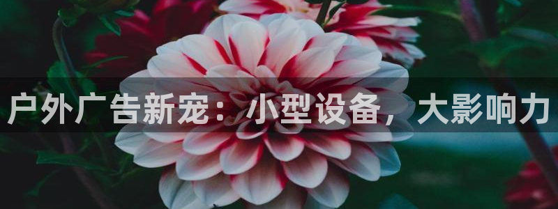 杏宇平台登录步骤是什么