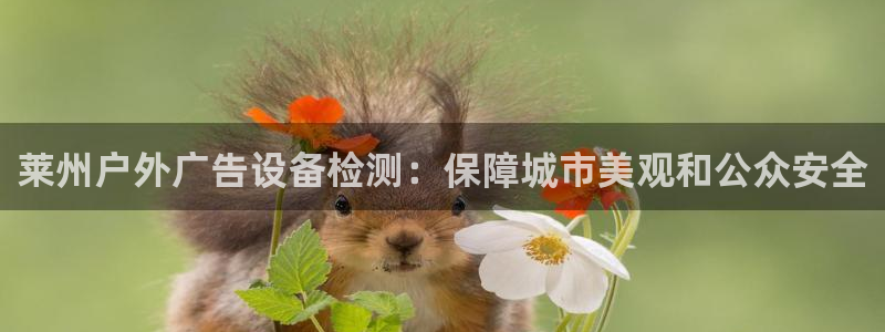 杏宇平台总代理