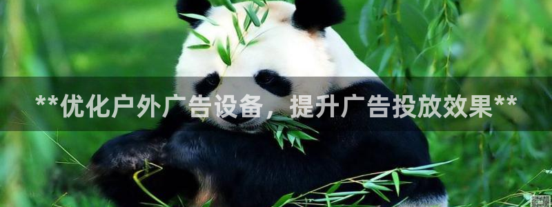 杏宇官方平台官网下载：**优化户外广告设备，提升广告投放效果**