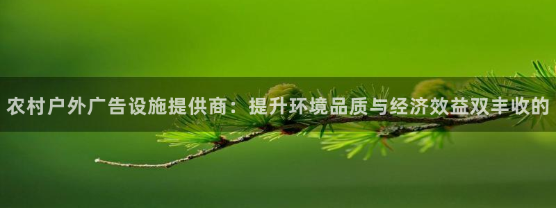 杏宇平台代理多少钱一个：农村户外广告设施