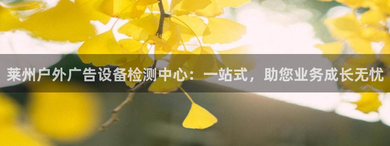 杏宇平台代理多少钱一次：莱州户外广告设备检测中心：一站式，助您业务成长无忧