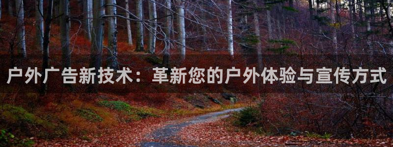 杏宇平台代理：户外广告新技术：革新您的户外体验与宣传方式