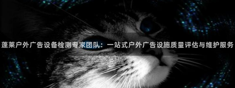杏宇平台招商：蓬莱户外广告设备检测专家团队：一站式户外广告设施质量评估与维护服务