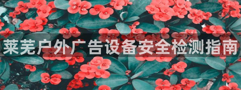 杏宇官方平台官网下载