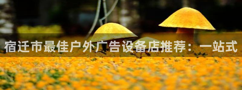 杏宇平台代理多少钱一个月：宿迁市最佳户外广告设备店推荐：一站式