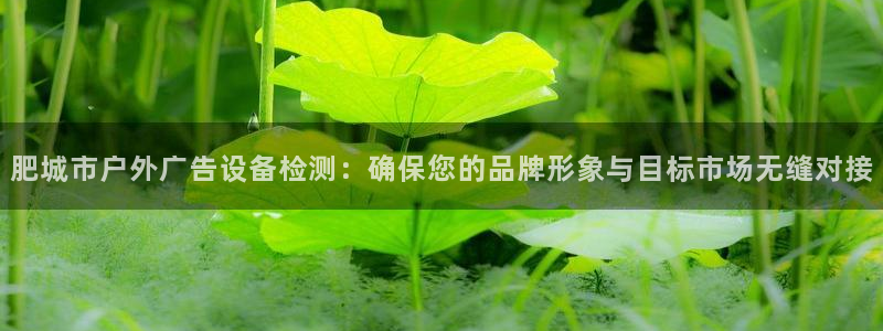 杏宇平台总代理：肥城市户外广告设备检测：确保您的品牌形象与目标市场无缝对接