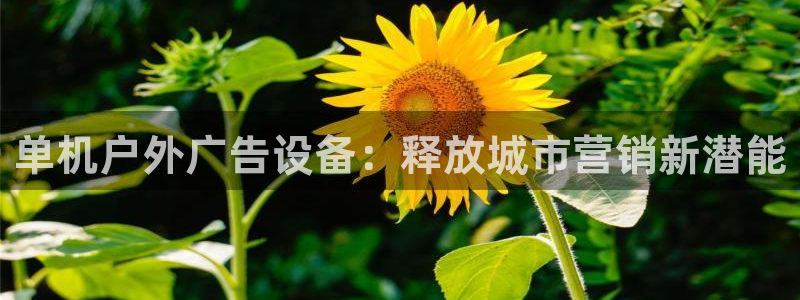 杏宇平台代理怎么样啊