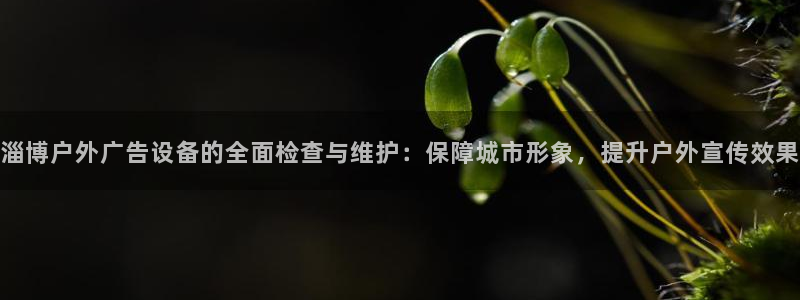 杏宇平台怎么样知乎：淄博户外广告设备的全面检查与维护：保障城市形象，提升户外宣传效果