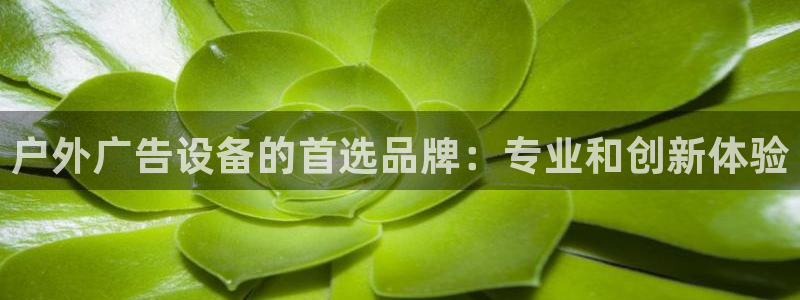 杏宇平台客服：户外广告设备的首选品牌：专业和创新体验