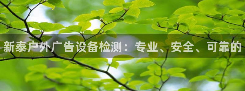 杏宇平台招商：新泰户外广告设备检测：专业、安全、可靠的