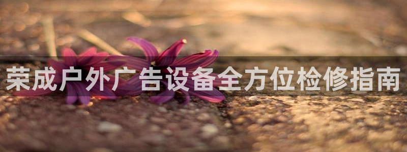 杏宇官方平台官网