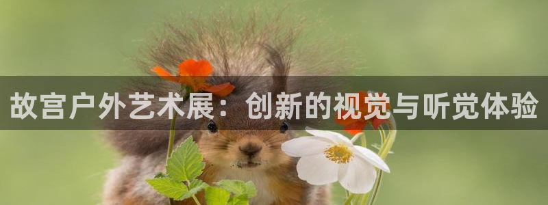 杏宇平台注册地址在哪里：故宫户外艺术展：创新的视觉与听觉体验