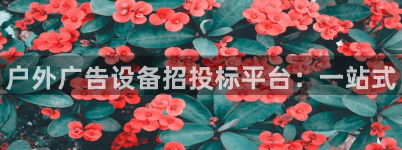杏宇平台招商：户外广告设备招投标平台：一