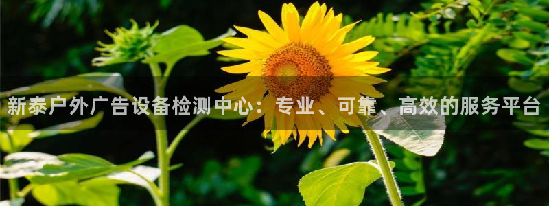杏宇平台登录步骤是什么：新泰户外广告设备检测中心：专业、可靠、高效的服务平台