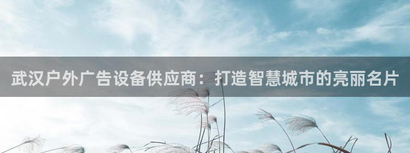 杏宇平台代理怎么样赚钱：武汉户外广告设备供应商：打造智慧城市的亮丽名片