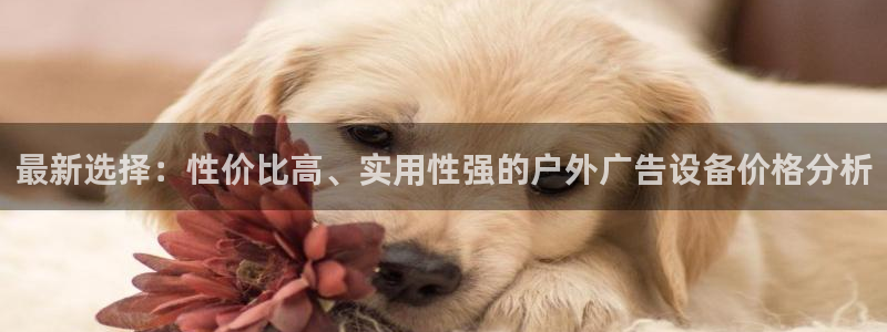 杏宇平台代理：最新选择：性价比高、实用性强的户外广告设备价格分析