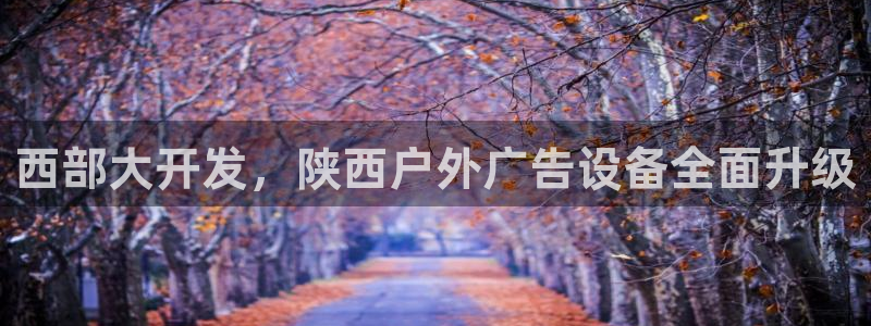 杏宇平台提现为什么这么久呢：西部大开发，