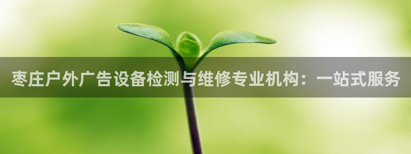 杏宇平台代理多少钱一次：枣庄户外广告设备检测与维修专业机构：一站式服务