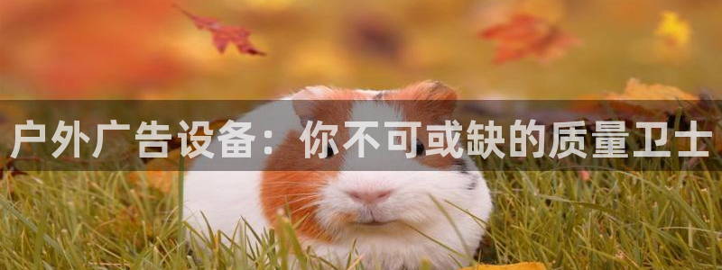 杏宇平台登录步骤是什么