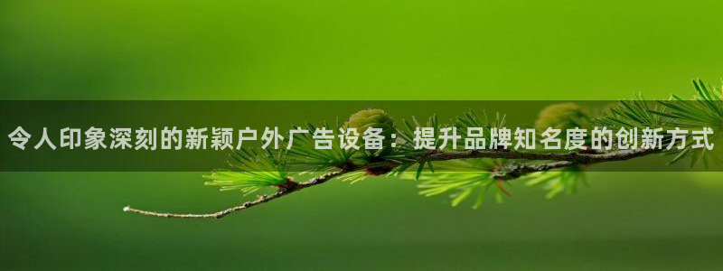 杏宇平台代理怎么赚钱的