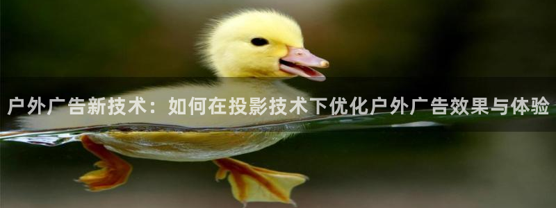 杏宇平台测速链接