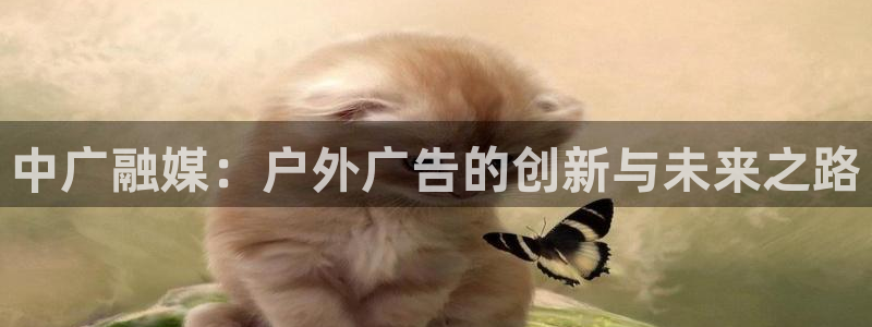 杏宇平台总代理是谁：中广融媒：户外广告的创新与未来之路