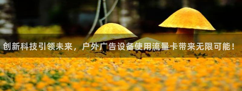 杏宇平台登录步骤是什么：创新科技引领未来，户外广告设备使用流量卡带来无限可能！