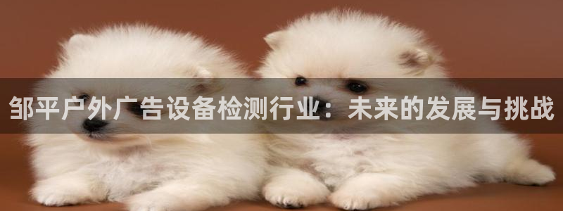 杏宇平台代理怎么样可靠吗：邹平户外广告设